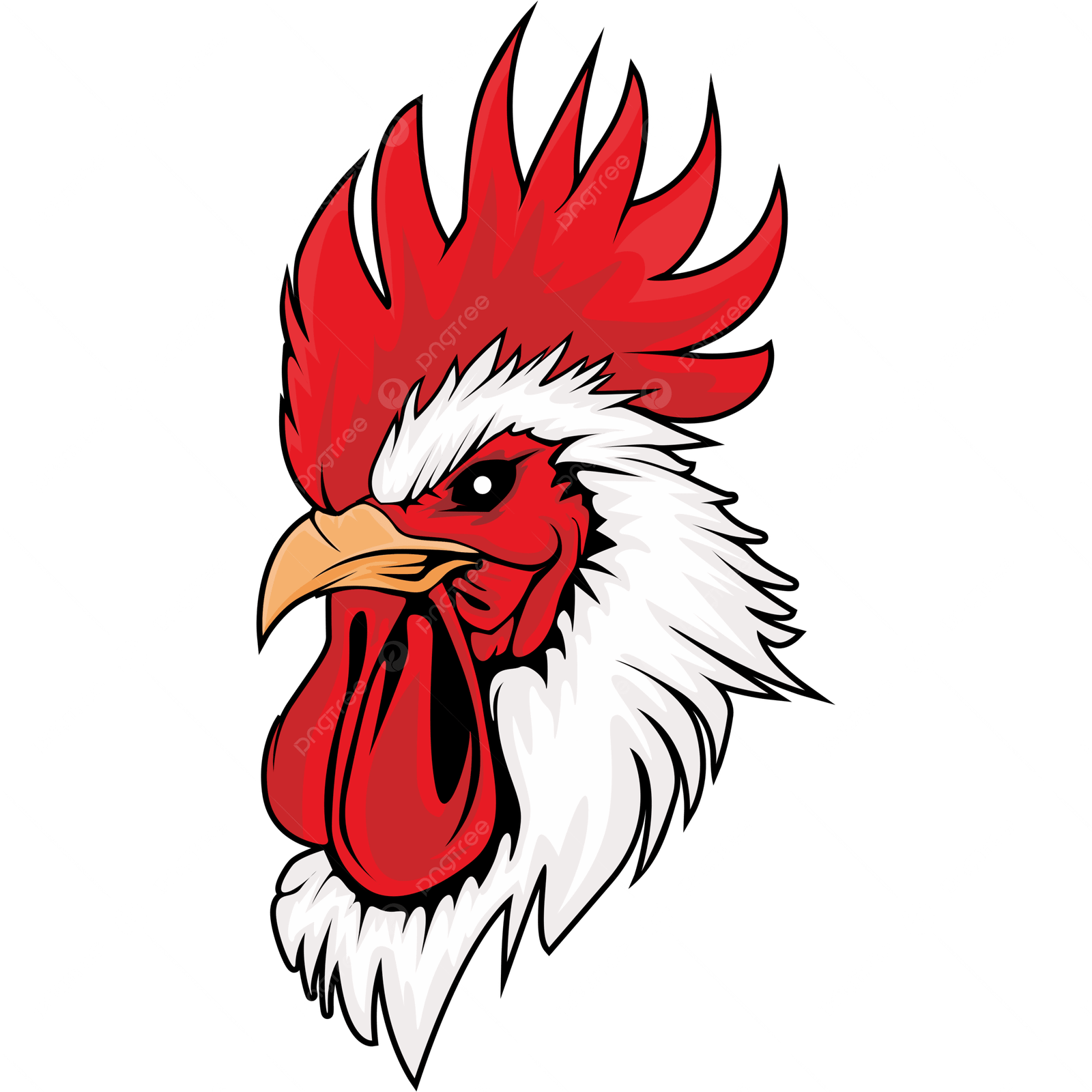 Poultry Farmers in Liberia